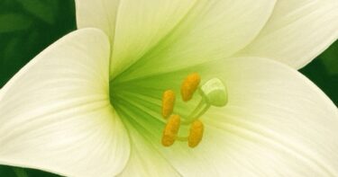 沿道の応援団〜ユリと金針菜